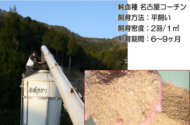 松風地どり専用飼料