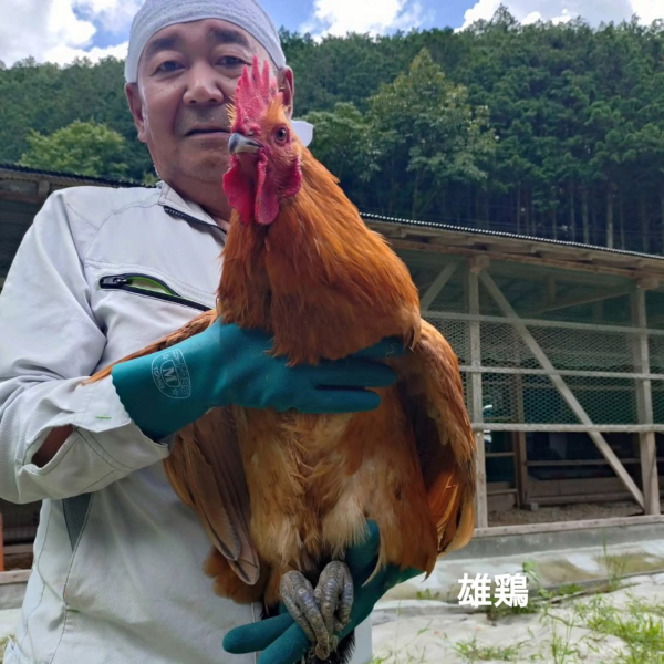 有限会社とり泉 社長：大上