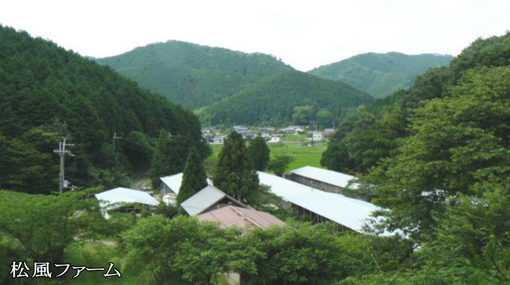 松風ファーム