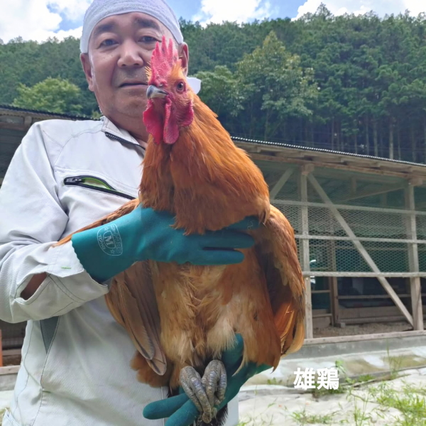 有限会社とり泉 社長：大上